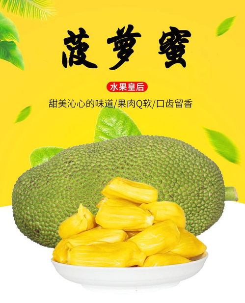 海南热带黄肉菠萝蜜 20-25斤干苞当季新鲜水果特产，一整个有滋有味包邮到家